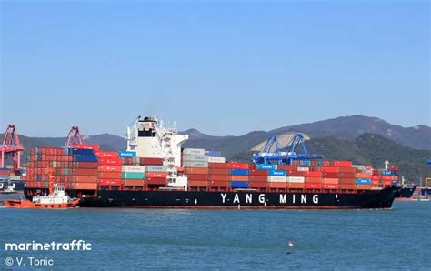 synergy busan|SYNERGY BUSAN, Container Ship .
